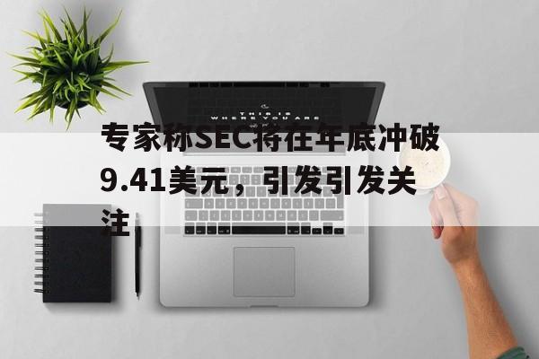 爱游戏APP-专家称SEC将在年底冲破9.41美元，引发引发关注
